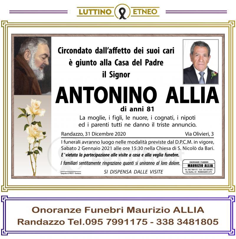 Antonino  Allia 